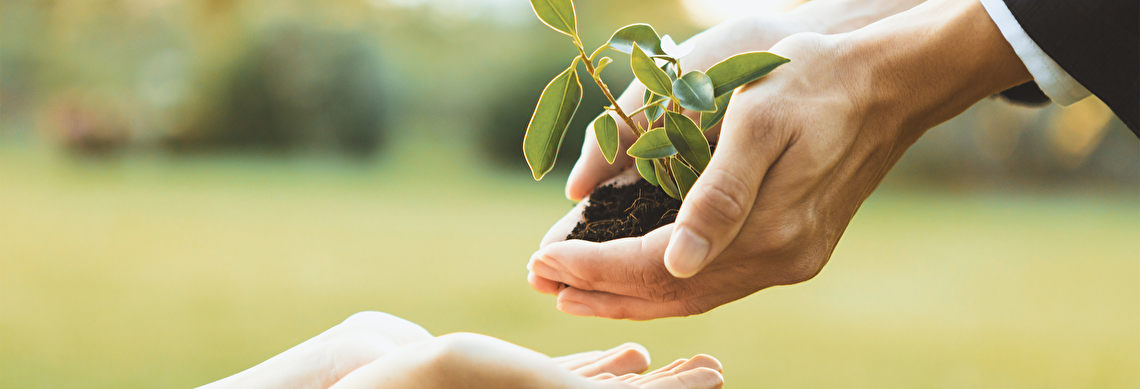 Sürdürülebilir iş anlayışımızla, çevreye zarar vermeden operasyonlarımızı sürdürüyoruz. Doğa dostu mobilite çözümlerimizle geleceğe katkıda bulunuyoruz.