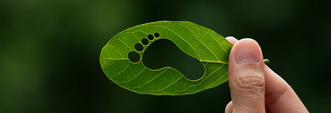 We protect the environment and help businesses reduce costs through our innovative methods that lower carbon emissions.