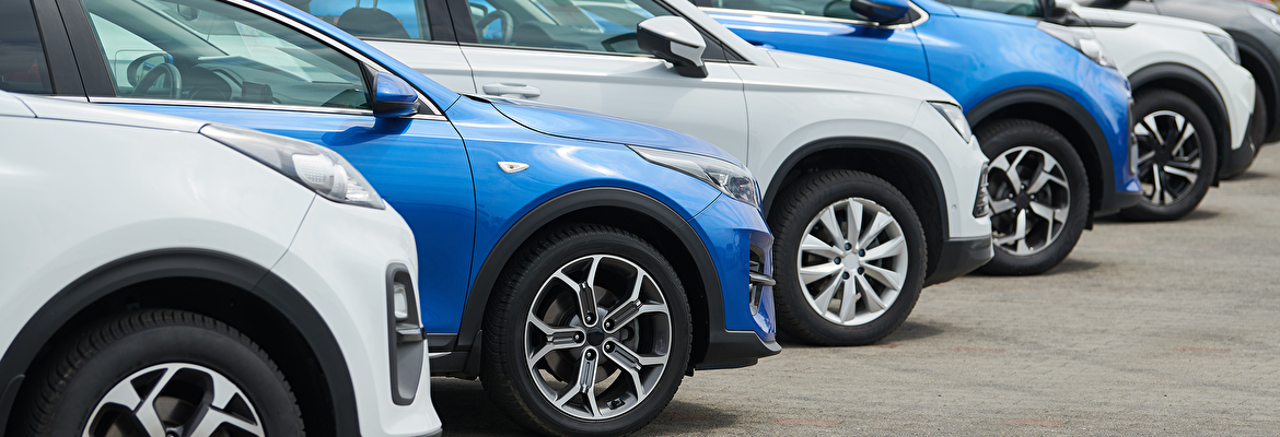 What is Long Term Car Rental?